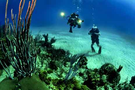 phuket underwater